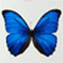 mukorom.hu - Árva Reni