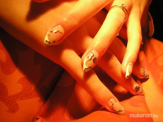 Iványi Brigitta - művészi - 2011-09-26 09:36