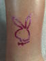 Playboy nyuszi