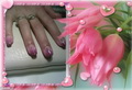 pink-rózsaszín
