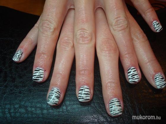 Zebra Minta
