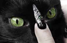 Műköröm zselé - Titok